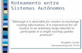 Roteamento entre Sistemas Autônomos Although it is desirable for routers to exchange routing information, it is impractical for all routers in an arbitrary.
