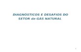 1 DIAGNÓSTICOS E DESAFIOS DO SETOR de GÁS NATURAL.