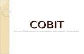 COBIT Control Objectives for Information and related Technology.