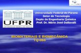 BIOMATERIAIS E BIOMECÂNICA TQ-064 Universidade Federal do Paraná Setor de Tecnologia Depto de Engenharia Química Prof. Dr. Mário José Dallavalli.