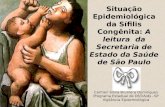 Situação Epidemiológica da Sífilis Congênita: A leitura da Secretaria de Estado da Saúde de São Paulo Carmen Silvia Bruniera Domingues Programa Estadual.