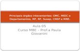 Aula 05 Curso MBE – Prof.a Paula Giovanini Principais órgãos intevenientes: OMC, MIDC e Departamentos, MF, RF, Susep, CNSP e MRE.