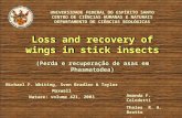 UNIVERSIDADE FEDERAL DO ESPÍRITO SANTO CENTRO DE CIÊNCIAS HUMANAS E NATURAIS DEPARTAMENTO DE CIÊNCIAS BIOLÓGICAS Loss and recovery of wings in stick insects.