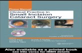 Clinical Practice in Small Incision Cataract Surgery