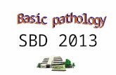 Introduction To Basic Pathology