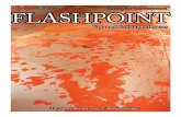 5688488 Flashpoint Volume III Slaughterhouse List