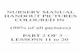 Nursery Manual 2 of 3 - Handouts Coloured