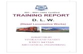 dlw training report, varanasi