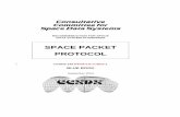 CCSDS-133.0-B-1 Space Packet Protocol .Pink 0.E Heppenheim (1)