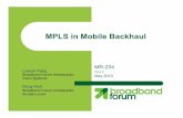MPLS in Mobile Backhual