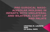 Naso-Alveolar Moulding for Cleft Lip and Palate