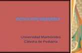 INFECCION URINARIA Universidad Maimónides Cátedra de Pediatría.