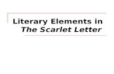 Literary Elements in the Scarlet Letter