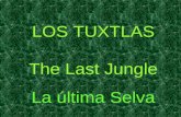 LOS TUXTLAS The Last Jungle La última Selva •Fertile beyond belief, in ancient times this land was known as Tlalocan, “land of abundance and earthly.