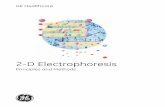 2D Electrophoresis_Principles and Methods