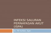 Infeksi Saluran Pernafasan Akut (ISPA) Fifi SpA