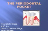 7.the Periodontal Pocket