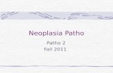 Neoplasia Ppt