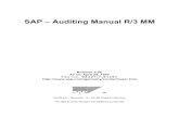 Auditing Sap Manual