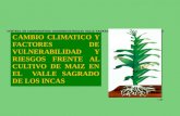 CENTRAL DE COOPERATIVAS AGROINDUSTRIALES VALLE SAGRADO DE LOS INCAS (AGROVAS-CALCA) 1 CAMBIO CLIMATICO Y FACTORES DE VULNERABILIDAD Y RIESGOS FRENTE AL.