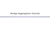 Bridge Aggregation - Tutorial