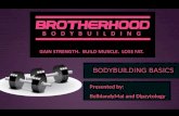 Bodybuilding Basics