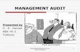 Management Auditing