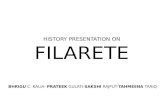 History Presentation Filarete