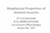 Biophysical Properties of SKM