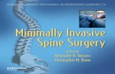 Minimally Invasive Spine Surgery (Minimally Invasive Procedures in Orthopaedic Surgery)