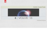 EVOLVE'13 | Enhance & Maximize | Adobe Sneak Peek | Gabriel Walt