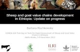 Sheep and goat value chains development in Ethiopia: Update on progress