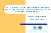 It All Ends Up In Our Water: Saving our Coastal and Freshwaters From Land and Air Wastes (IWC6 Presentation)