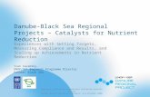 Danube-Black Sea Regional Projects – Catalysts for Nutrient Reduction  (Zavadsky)