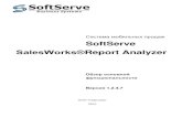 Sales works report analyzer user guide
