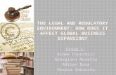 Legal implications of global business expansion