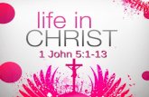 Life In Christ