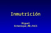 Inmutrición Miguel Echenique,MD,FACS. Adapted From: Daly et al. Immune and Metabolic Effects of Arginine in the Surgical Patient. Ann Surg 1988;208:512-522.