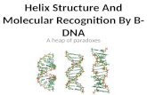 Helix structure and molecular recognition by B-DNA