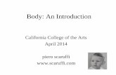 Body: An Introduction