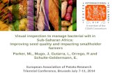 Visual inspection to manage bacterial wilt in  Sub-Saharan Africa:  Improving seed quality and impacting smallholder farmers