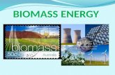 Biomass energy alex ferreiros