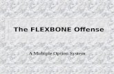 Flexbone Offense