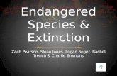 Endangered Species & Extinction