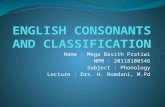 English consonants and classification