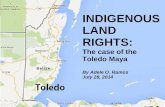 Indigenous Land Rights: Toledo Maya