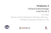 Factm malaria 4
