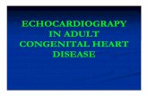 Microsoft Power Point - Echocardiography in Adult Congenital Heart Disease