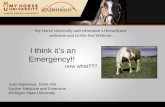 Equine Emergency First Aid (Marteniuk)