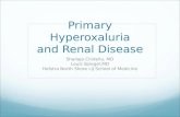 Primary hyperoxaluria and the Kidney